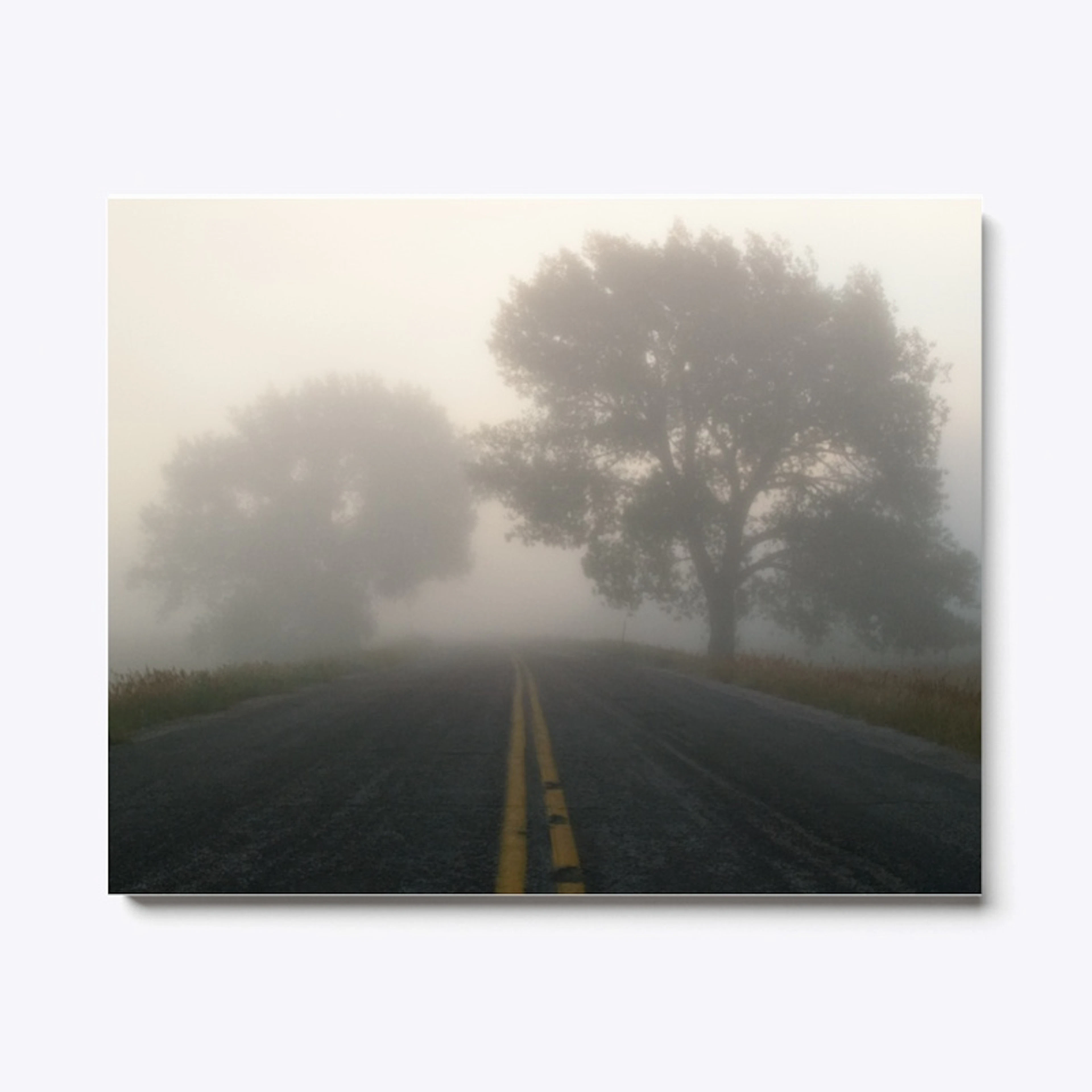 Misty Morning drive