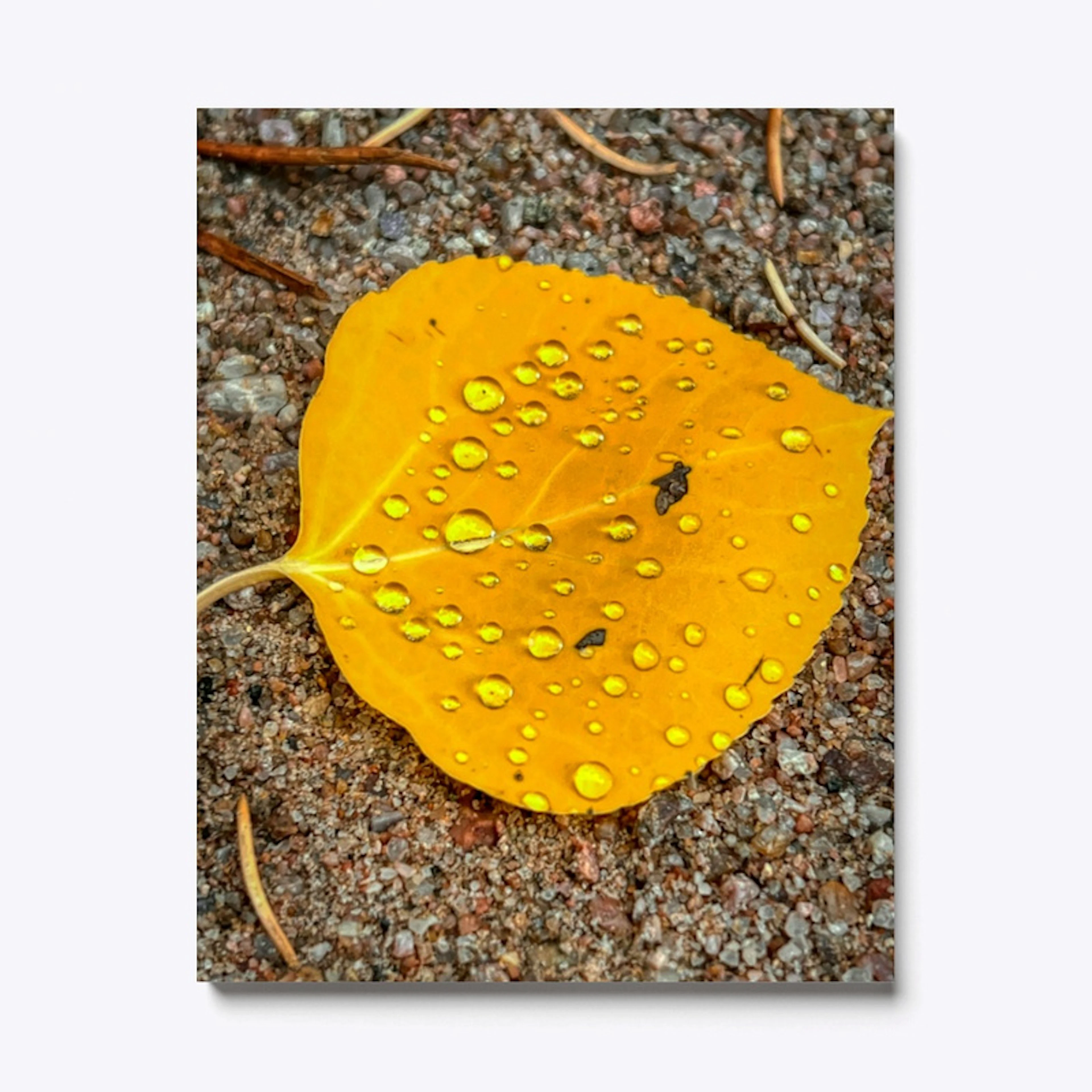 Bejeweled Golden Leaf 