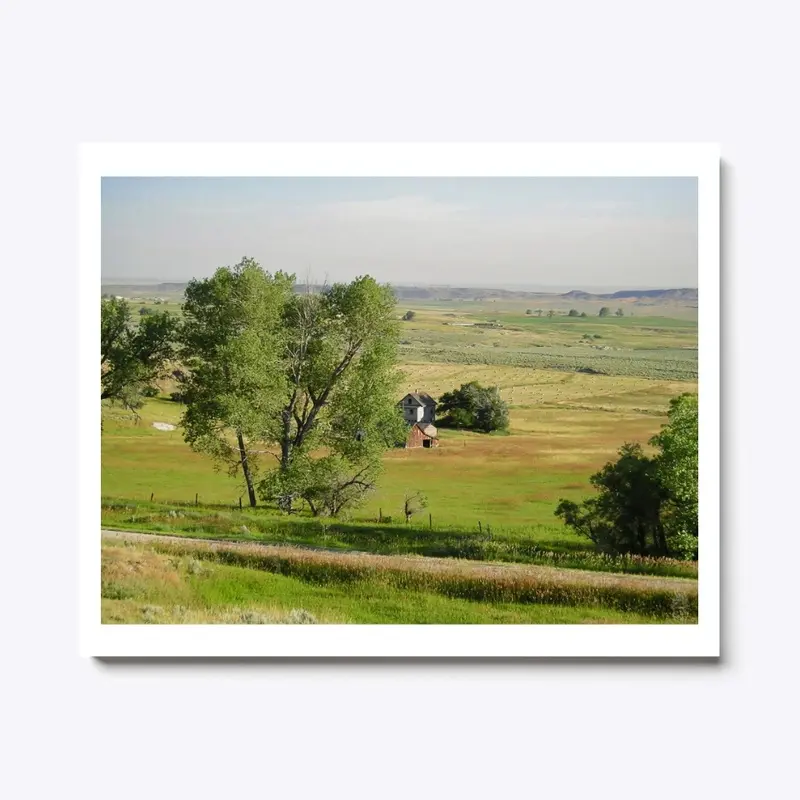 August hay fields Wyoming