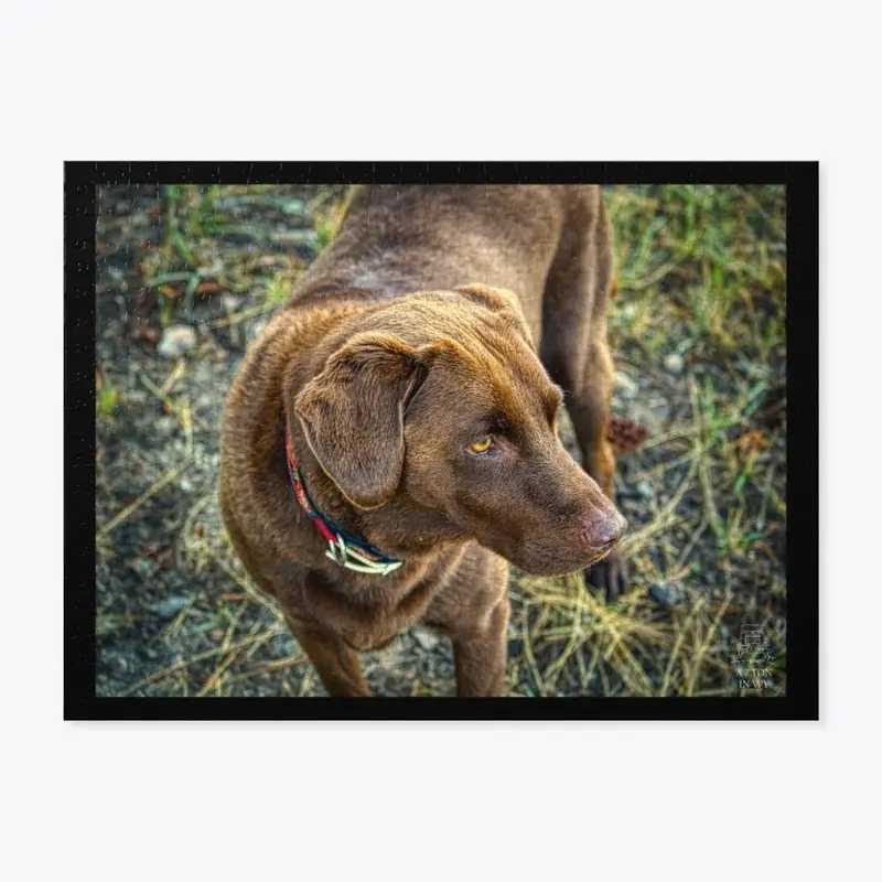 Chocolate Lab Puzzle